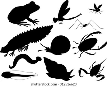 silhouettes of inhabitants of pond