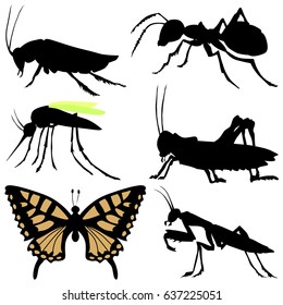 silhouettes of insects