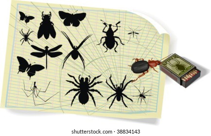 Silhouettes, insects, vector illustration