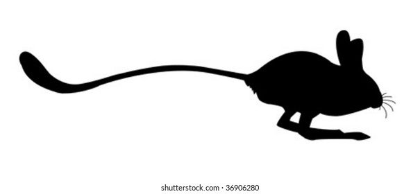  silhouettes of the jerboa  on white background