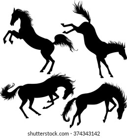 silhouettes of the kicking horses