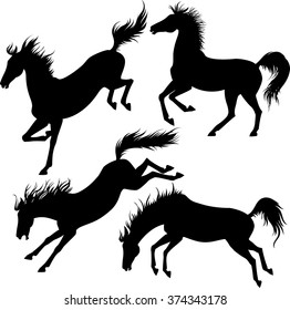 silhouettes of the kicking horses