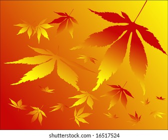 Silhouettes of leaves