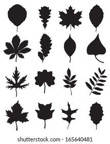 silhouettes of leaves