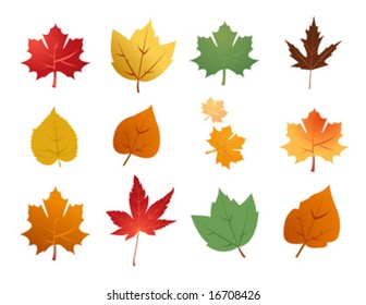 Silhouettes of leaves