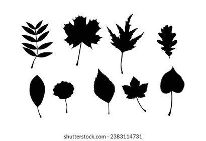 Silhouettes de hojas. Vector de concepto de naturaleza y follaje otoñal