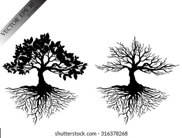 silhouettes of leaves and trees Branch ,