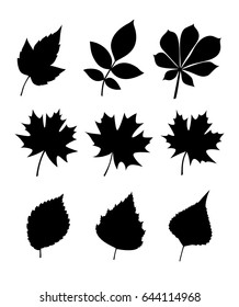 Silhouettes of leaves. Leaves various trees and seeds (poplar, elm, chestnut, maple, birch, ash). Vector collection of leaf isolated on white background.