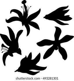 Silhouettes of lemon flower. Set