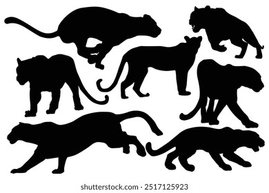 Silhouettes of leopard, cheetah. Black panther vector illustration design. Angry panther silhouette, full length, showing her teeth, walking Different view. Dangerous animals icon. Panther Day 