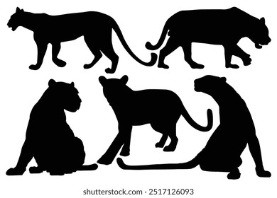 Silhouettes of leopard, cheetah. Black panther vector illustration design. Angry panther silhouette, full length, showing her teeth, walking Different view. Dangerous animals icon. Panther Day