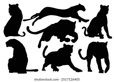 Silhouettes of leopard, cheetah. Black panther vector illustration design. Angry panther silhouette, full length, showing her teeth, walking Different view. Dangerous animals icon. Panther Day 