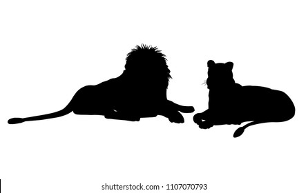 Silhouettes of lioness and male lion lying down. Vector illustration isolated on the white background