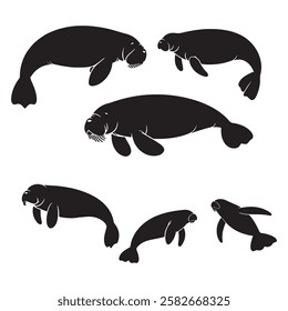 Silhouettes of Manatees in a Set . Dark level variety basic exquisite white foundation Manatee animal vector and silhouette icon.