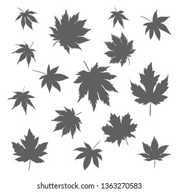 Silhouettes of maple leaves changing color from spring, summer and into fall.  hand draw vector illustrator.