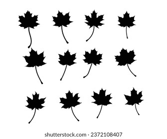 Silhouettes of Maple Leaves on White. Variety of fallen autumn leaf vector art