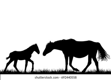 Silhouettes of mare and her foal