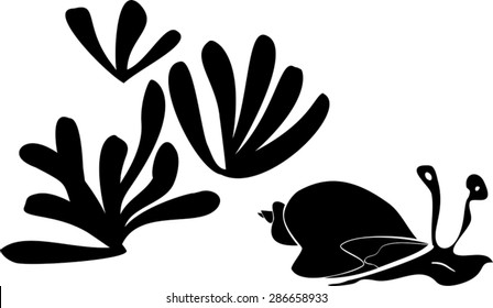 silhouettes of marine snail and anemone