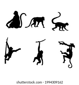 Silhouettes of monkey, vector illustration