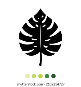 Silhouettes Monstera leaf on white background, Vector and Illustration.