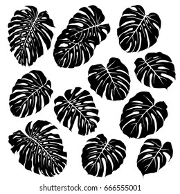 Silhouettes of monstera leaves. Set of vector silhouettes on white background