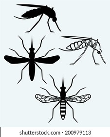 Silhouettes of mosquito. Image isolated on blue background