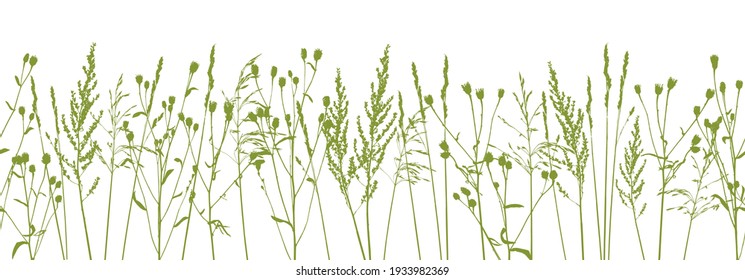 Silhouettes of natural herbs on white - seamless border with green grass - herbal design element for spring and summer