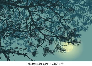 Silhouettes of night coniferous forest and full moon. detailed vector illustration
