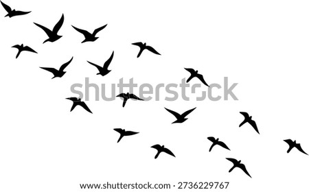 Silhouettes of numerous birds gracefully soaring together against a pristine white background, conveying freedom and movement.