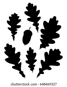 Silhouettes of oak leaves and acorns. Vector collection of leaf isolated on white background.