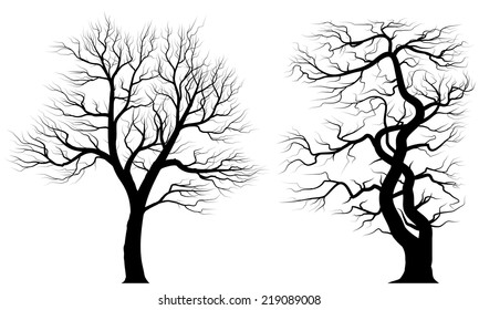 Silhouettes of old huge trees over white background. Black and white vector illustration.