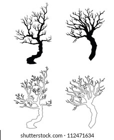silhouettes of old trees, branches without leaves.