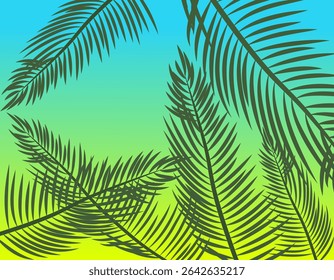 Silhouettes of palm leaves on the background of the summer sky. Design of rest with the atmosphere of the tropics and relaxation.