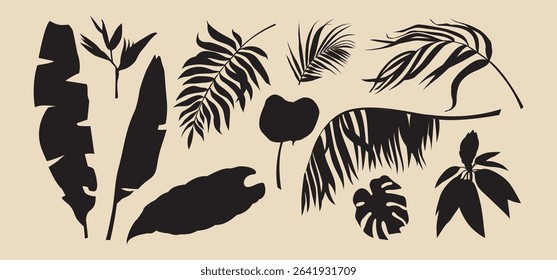 Silhouettes of palm leaves set. Vector graphics for summer designs. A collection of tropical jungles. An idea for creating posters, postcards, invitations, cards, banners
