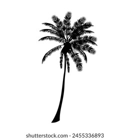 silhouettes palm tree illustration on white background.