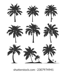 Silhouettes of palm trees, coconut tree in various shapes vector. A tropical tree usually found in coastal areas