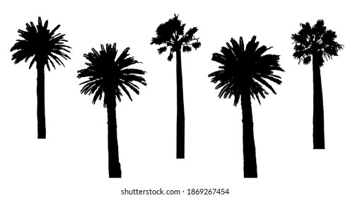 Silhouettes de palmeras aisladas en blanco, ambientado para el diseño de verano tropical