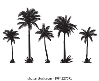 silhouettes of palm trees on a wild beach. vector sketch on white background