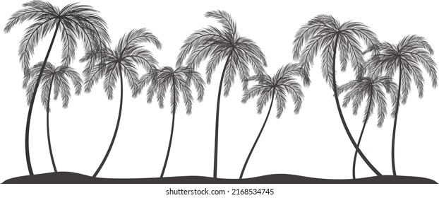 Silhouettes of palm trees. set of palm trees vector silhouette. tropical landscape Silhouette.