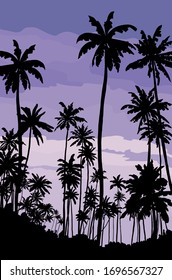 silhouettes of palm trees. sunset on a tropical island