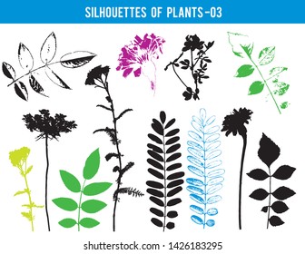 Silhouettes of parts of plants, leaves, flowers, vector illustration