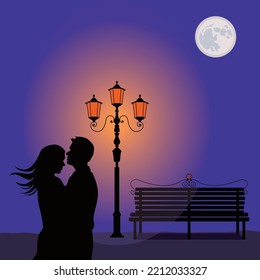 silhouettes of people hugging making love in the park at night, garden and garden lights vector ilustration