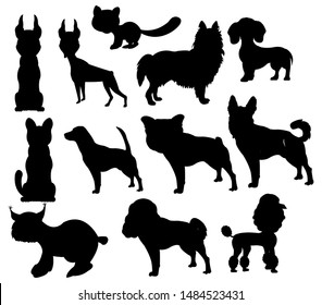 Silhouettes pets on white background is insulated
