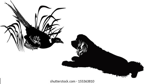 silhouettes of pheasant and dog isolated on white background