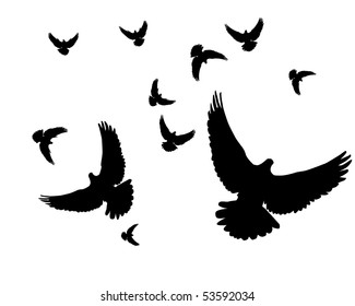 Silhouettes of pigeons on a white background