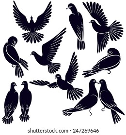 Silhouettes of pigeons that fly and sit