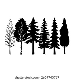 Silhouettes of pine and deciduous trees, cedar, spruce, birch. Vector black illustration about plants of different shapes