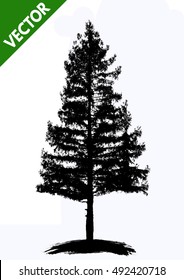 Silhouettes of pine tree on a white background, vector illustration