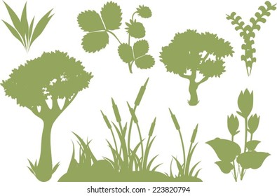 Silhouettes of plants