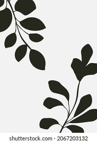 Silhouettes of plants and leaves. Abstract black and white minimalistic poster.